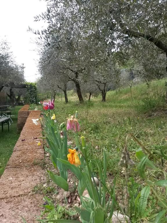 Agriturismo Camparella Pastrengo Exteriör bild