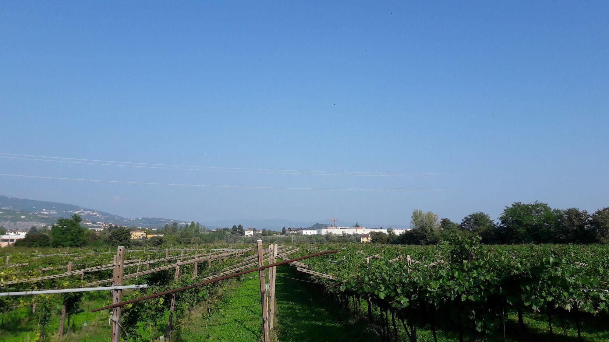 Agriturismo Camparella Pastrengo Exteriör bild